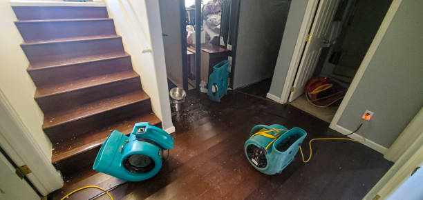 Best Commercial water damage restoration  in Shadybrook, TX