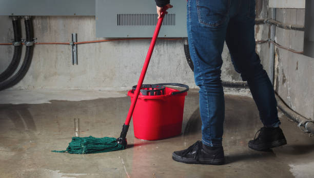 Best Water damage cleanup near me  in Shadybrook, TX