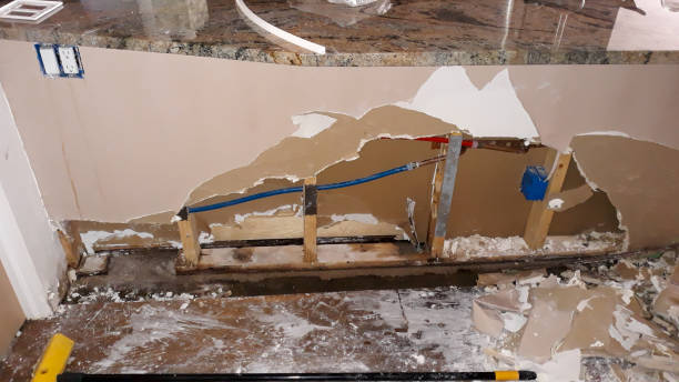 Best 24-hour water damage restoration  in Shadybrook, TX