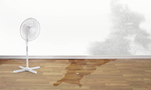 Best 24/7 water damage repair  in Shadybrook, TX